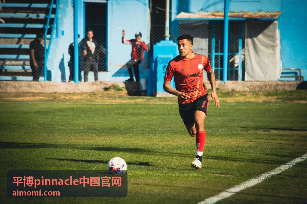 平博Pinnacle中国官网客户端界面数据面板示例